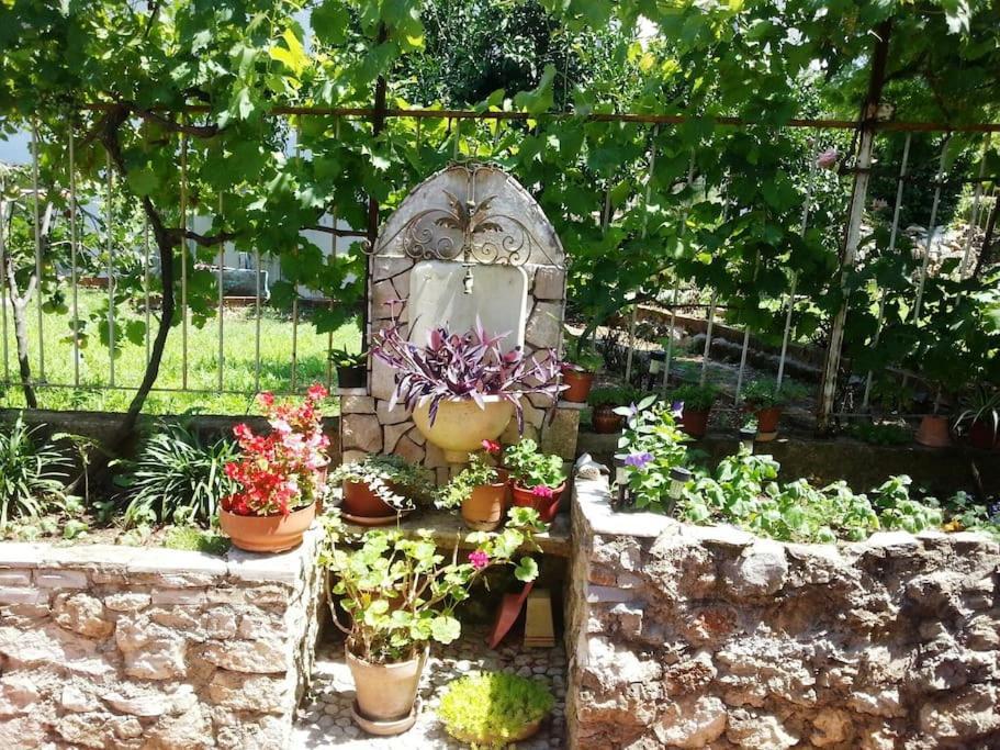 Dubrovnik Quiet Center Apartment Misur Esterno foto